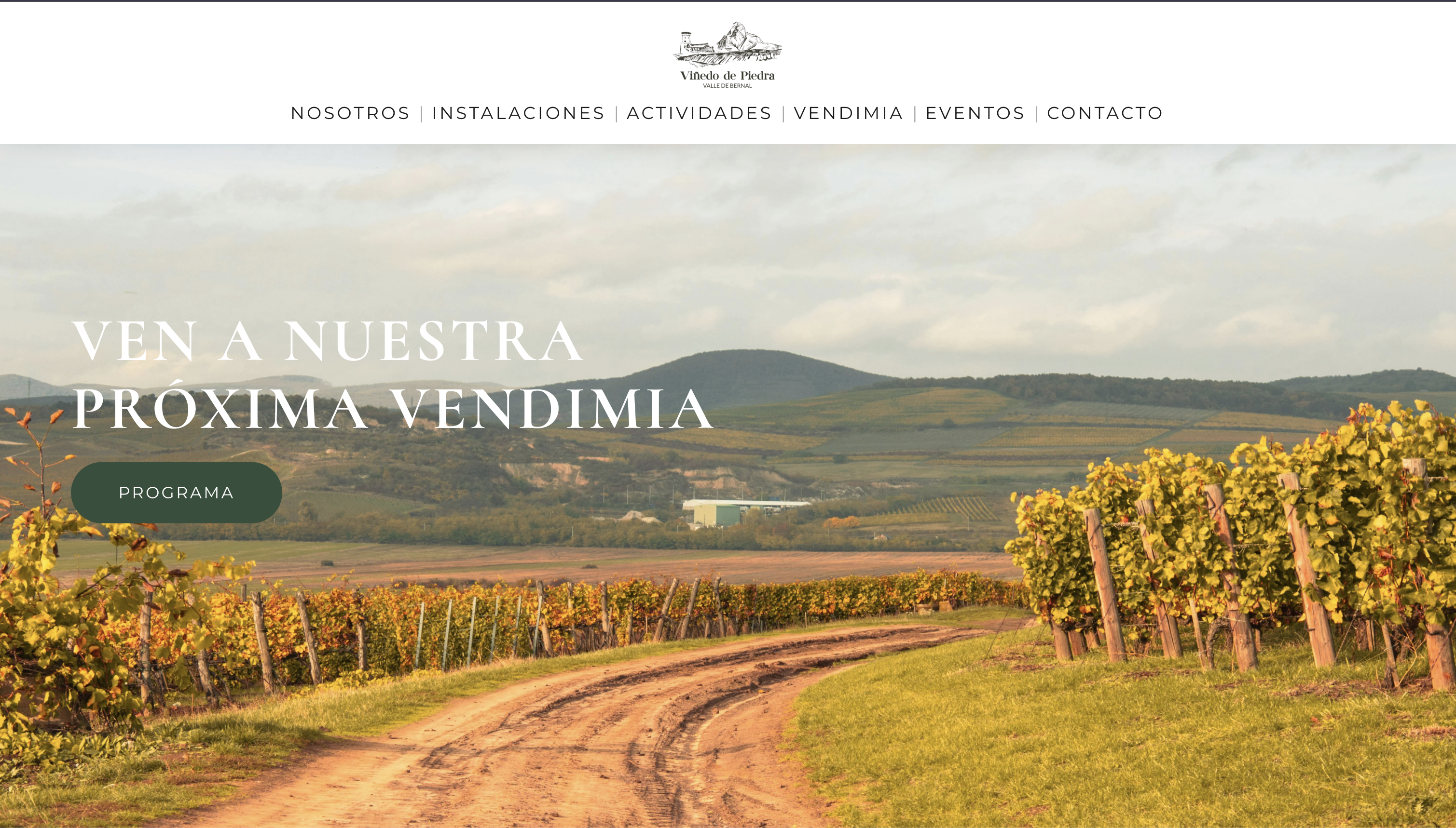 E-commerce Viñedo de Piedra — desarrollo web para viñedo en Valle de Bernal